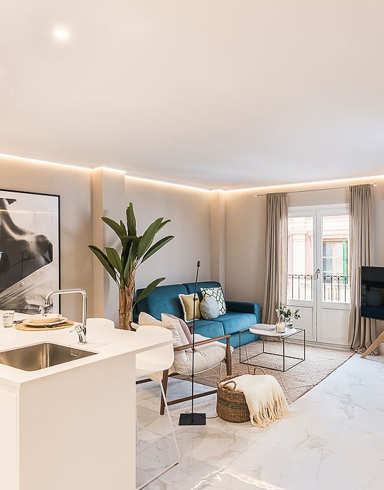 Luxury Apartments. Rent by days and months | Homeclub